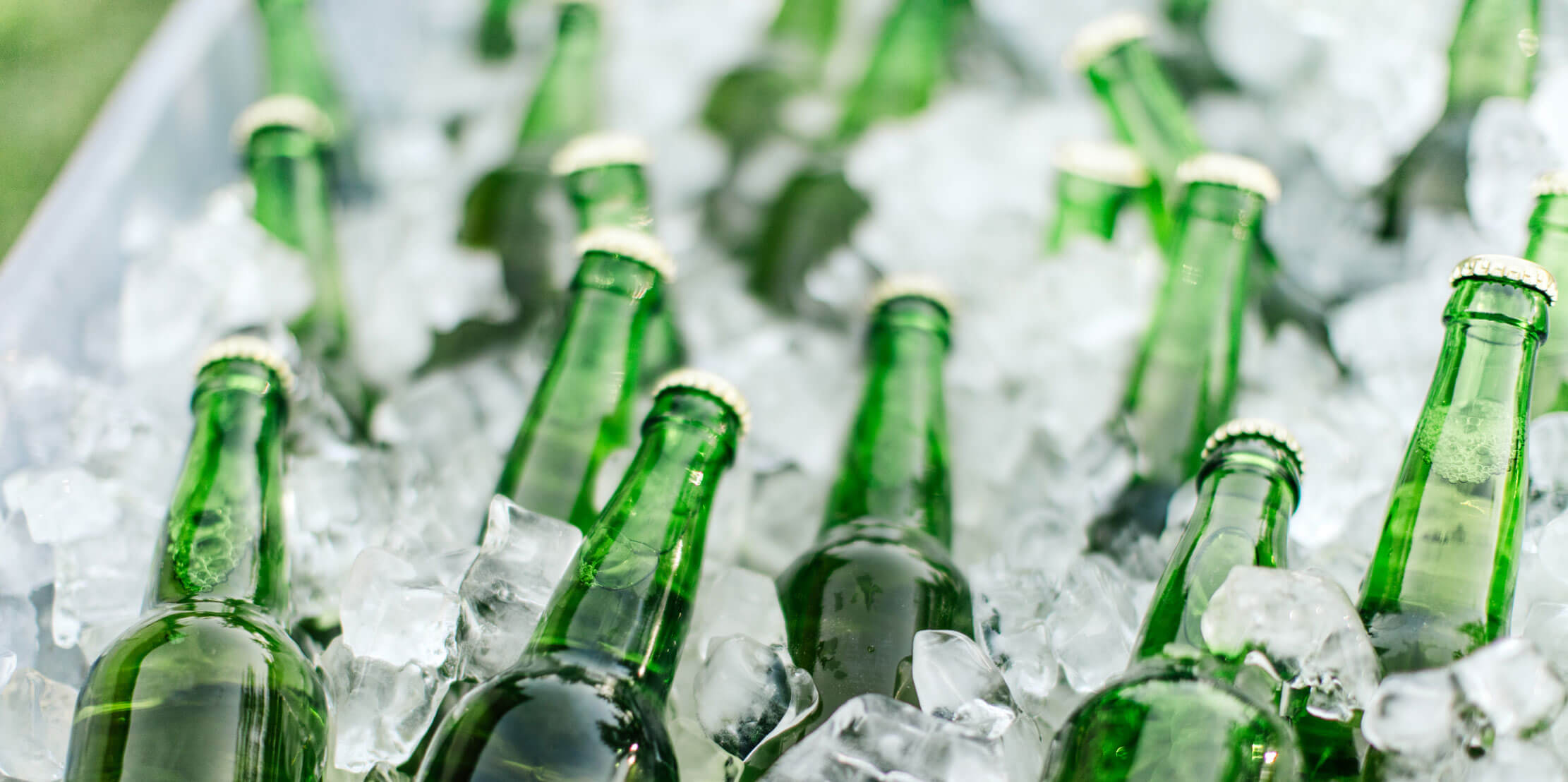 Beer bottles on ice