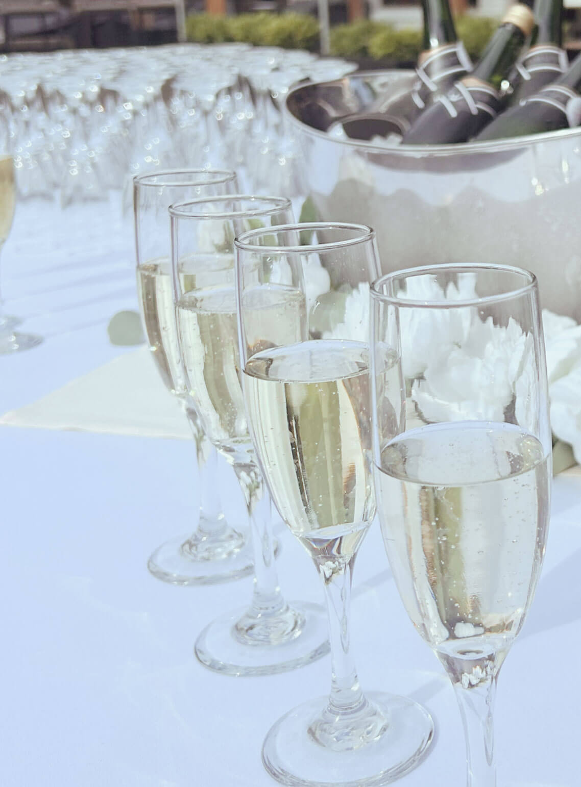 Ready the Champagne Toasts!